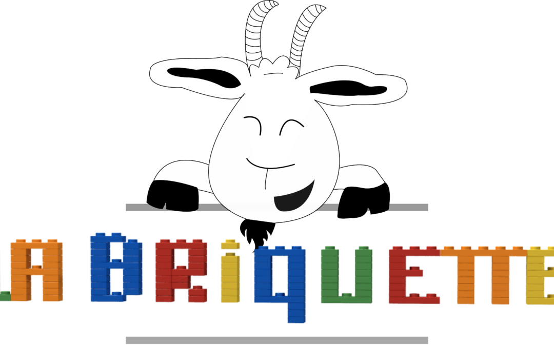 LA BRIQUETTE