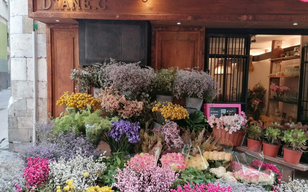 Diane C Fleurs – Perpignan Centre Ville
