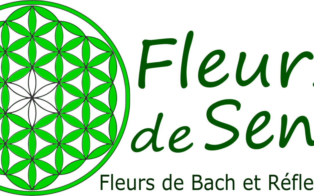 Fleurs de sens – Latour de France, Estagel