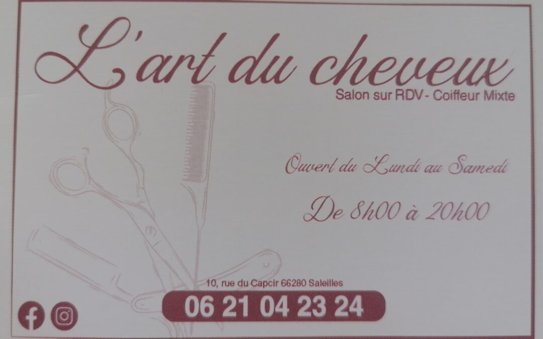 L’Art du Cheveux-Coiffure mixte – Saleilles